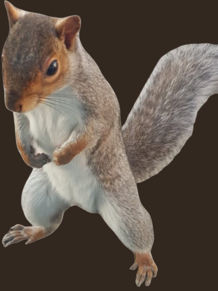 lovable squirrel by StoreRahhal