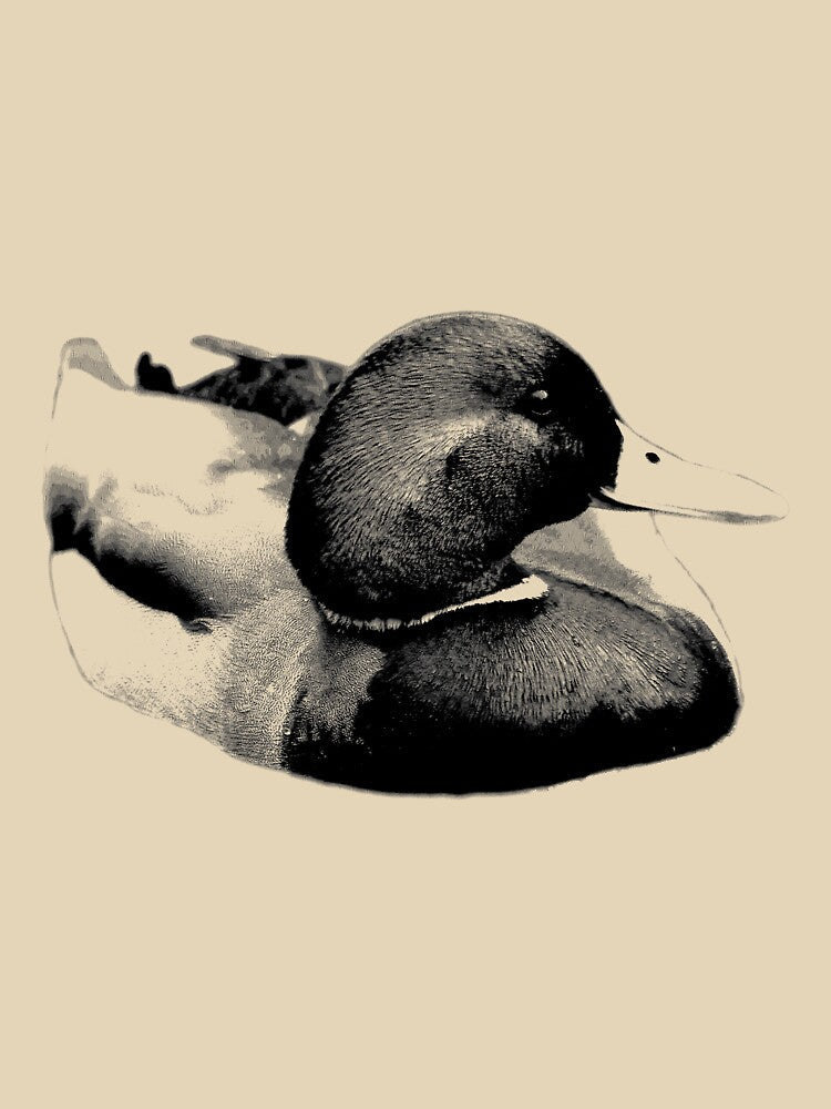 Mallard Duck. Digital Wildlife Engraving by Digital Eclectica