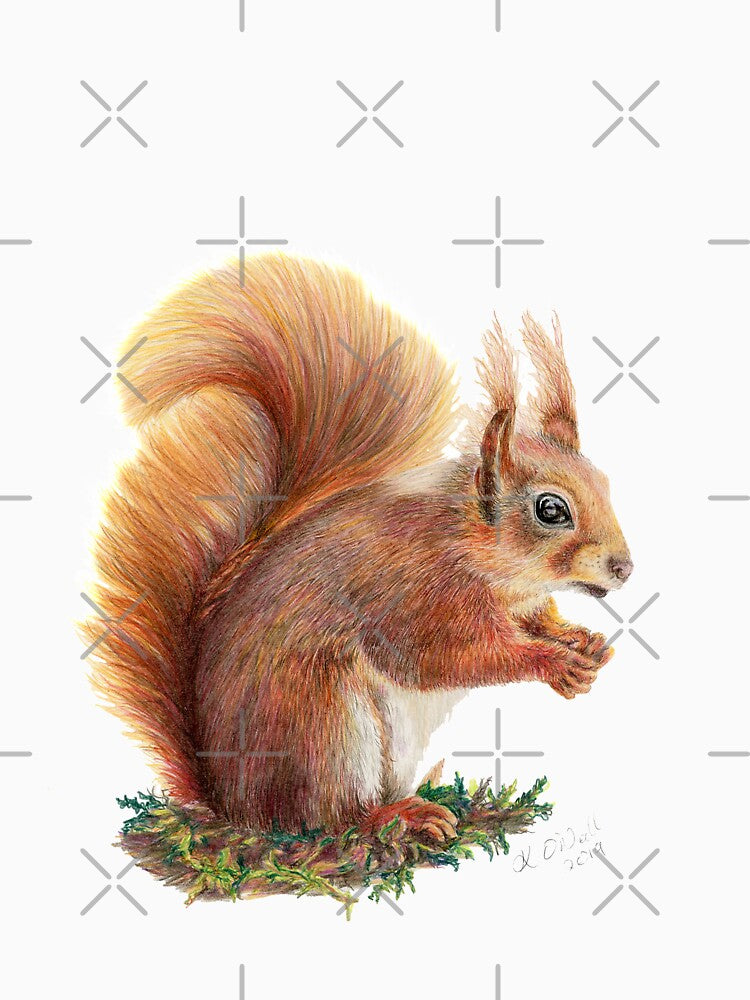 Red Squirrel by oneillanimalart