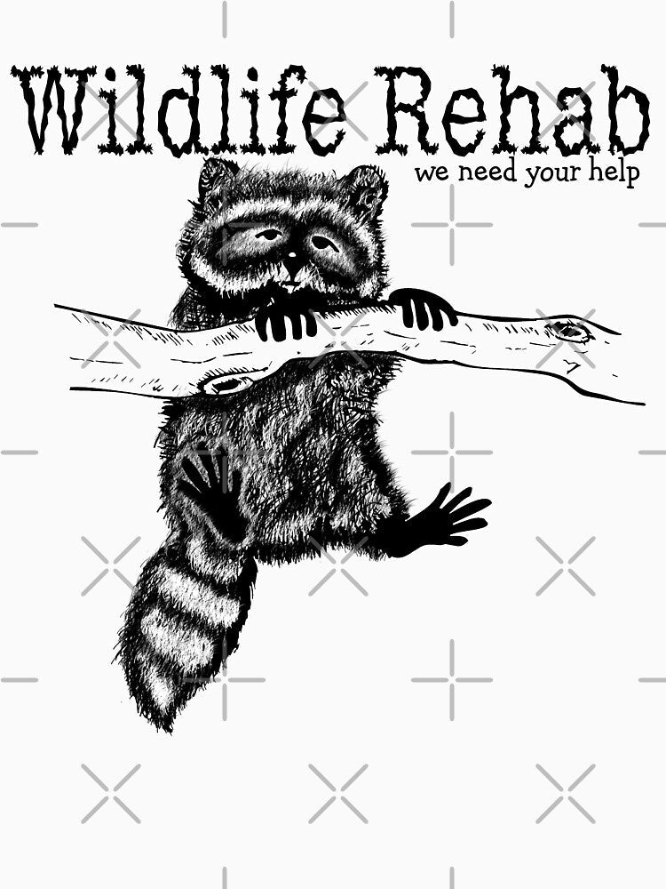 Raccoon Wildlife Rehabilitation We Need Your Help by The Tinker Man's Daughter