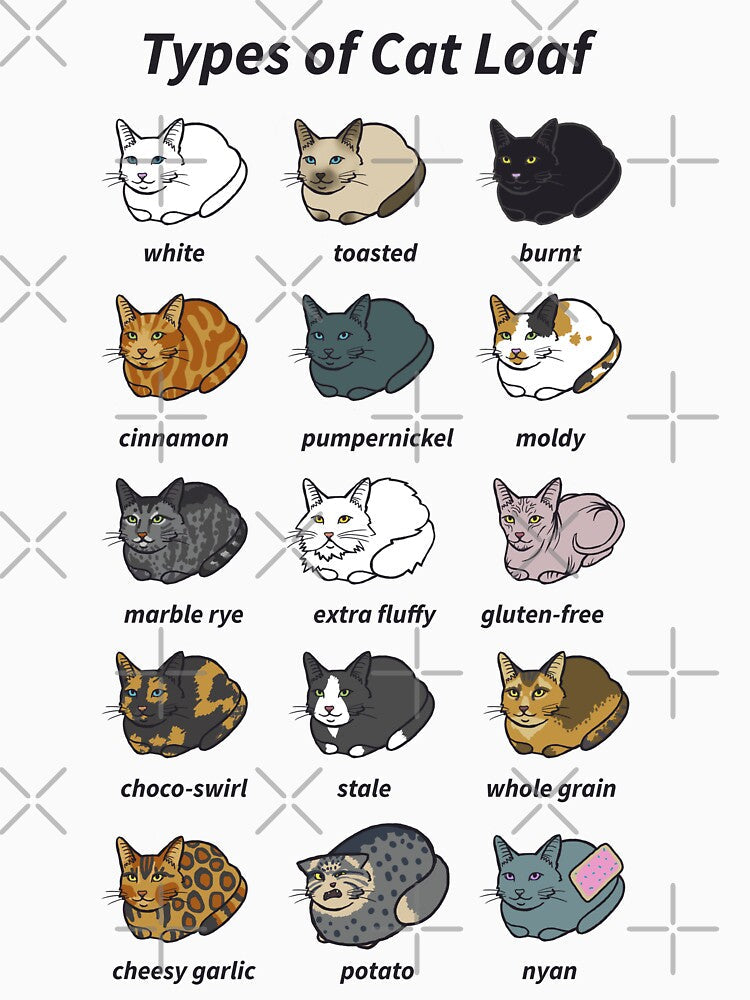 The Types of Cat Loaf by usclaireforce