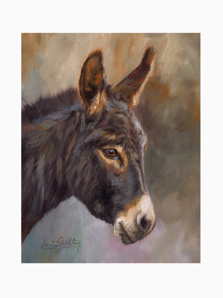 Donkey by David Stribbling