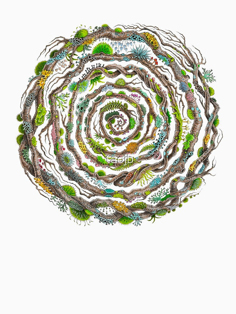 Spiralichen by taojb