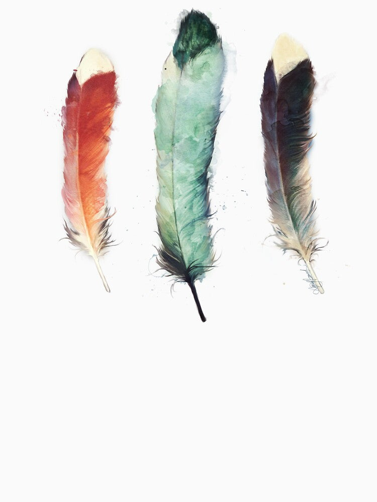 Feathers by Amy Hamilton