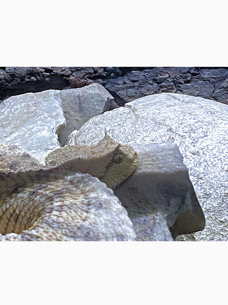 SIDEWINDER 2 by BOLLA67