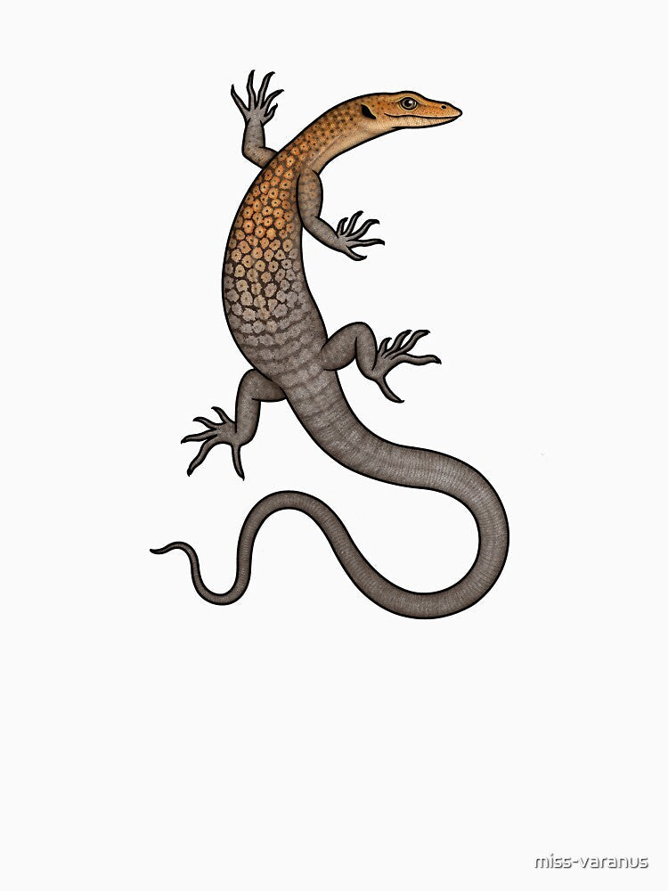 Orange-headed Rock Monitor (Varanus umbra) by miss-varanus