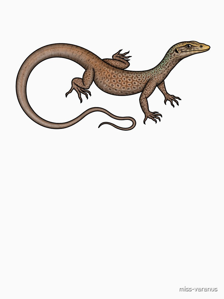 Rainbow Rock Monitor (Varanus iridis) by miss-varanus