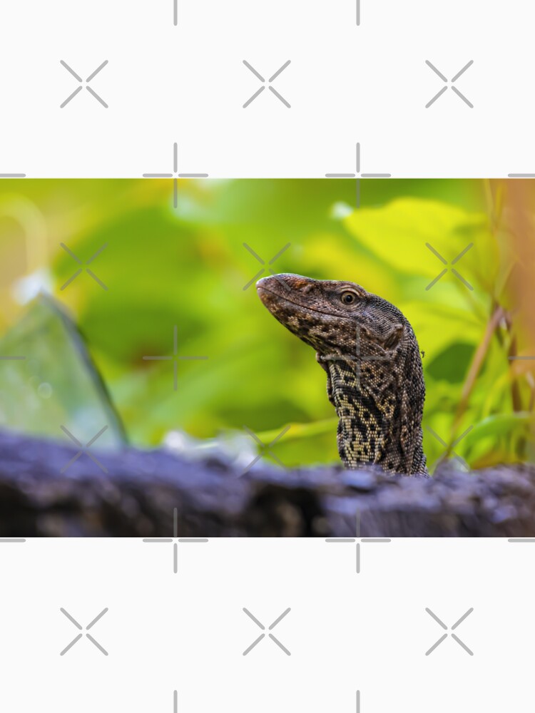 Monitor Lizard by SgbClicks19