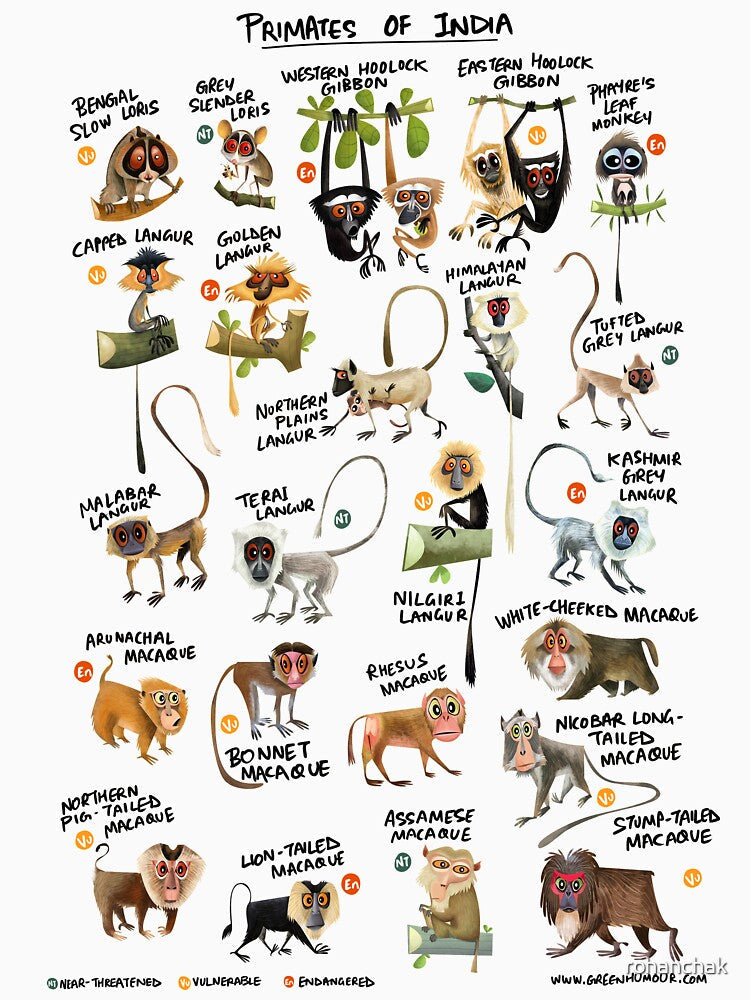 Primates of India by Green Humour