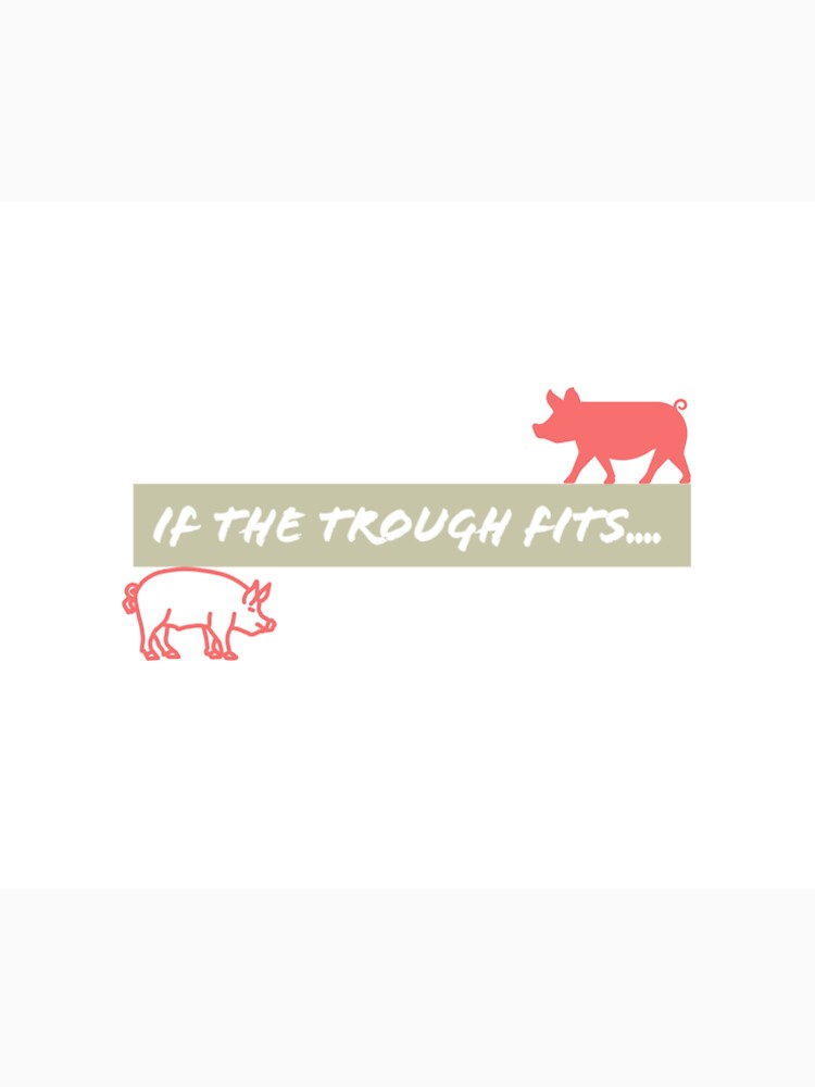 If the trough fits; design 2 by Brendan  Mullen