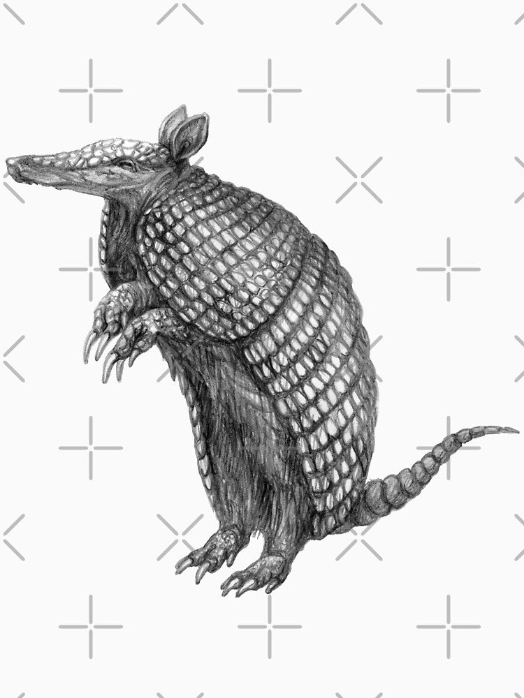 Pencil drawn armadillo by stasia-ch