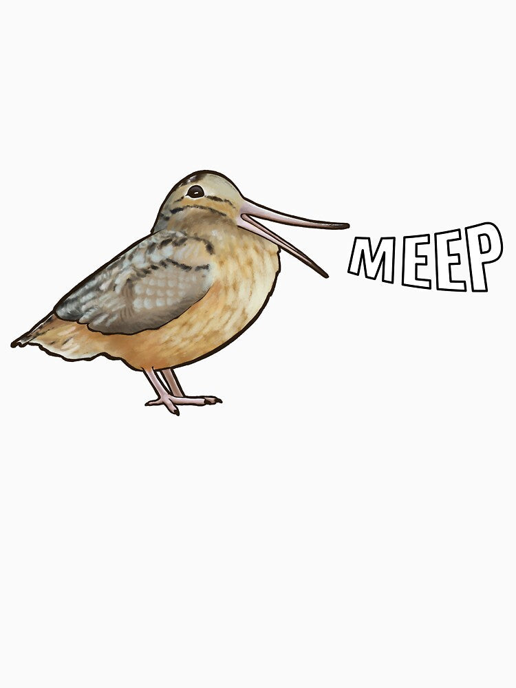 Meep Bird - American Woodcock by Jakkuri