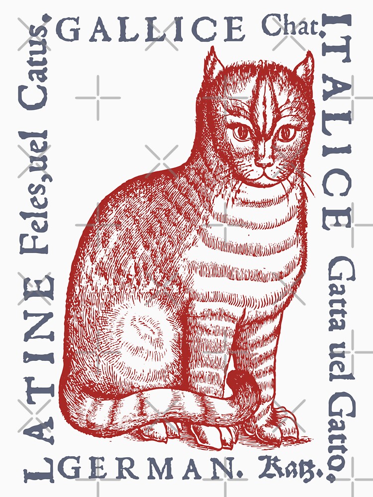 Medieval Cat with Translations from year 1560 by pelagio