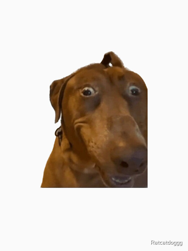 Crazy looking dog by Ratcatdoggg