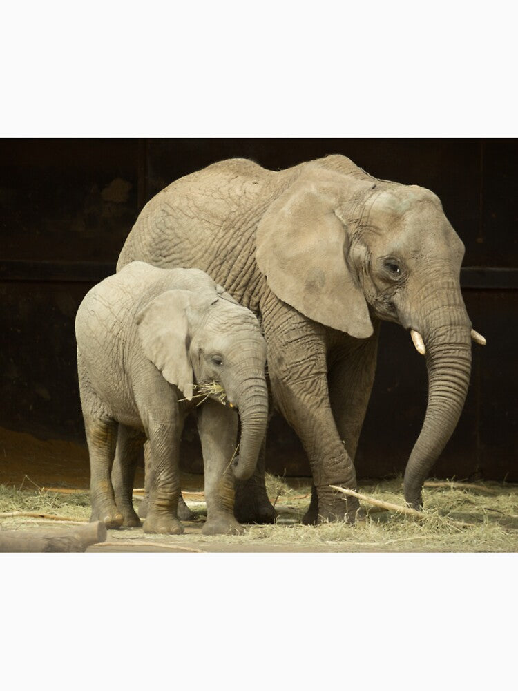 Elephants by Conservation Art Emporium