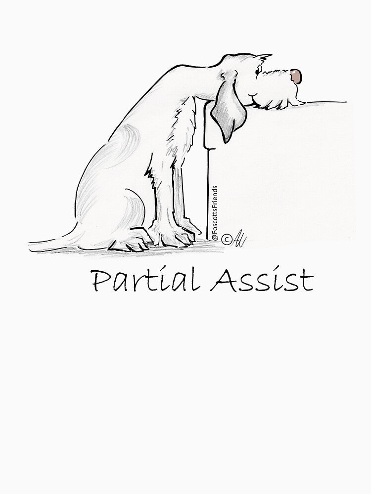 Partial Assist - Italian Spinone Sit series by FoscottsArt