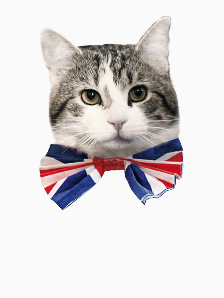 Larry the cat downing street, Larry at Number 10 by FAVOURHOODprint