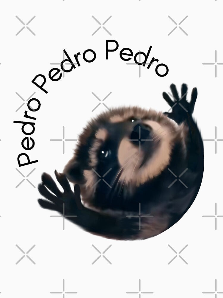 Pedro raccoon meme viral video by Prime_Store