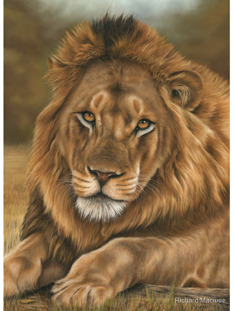 Lion by Richard Macwee