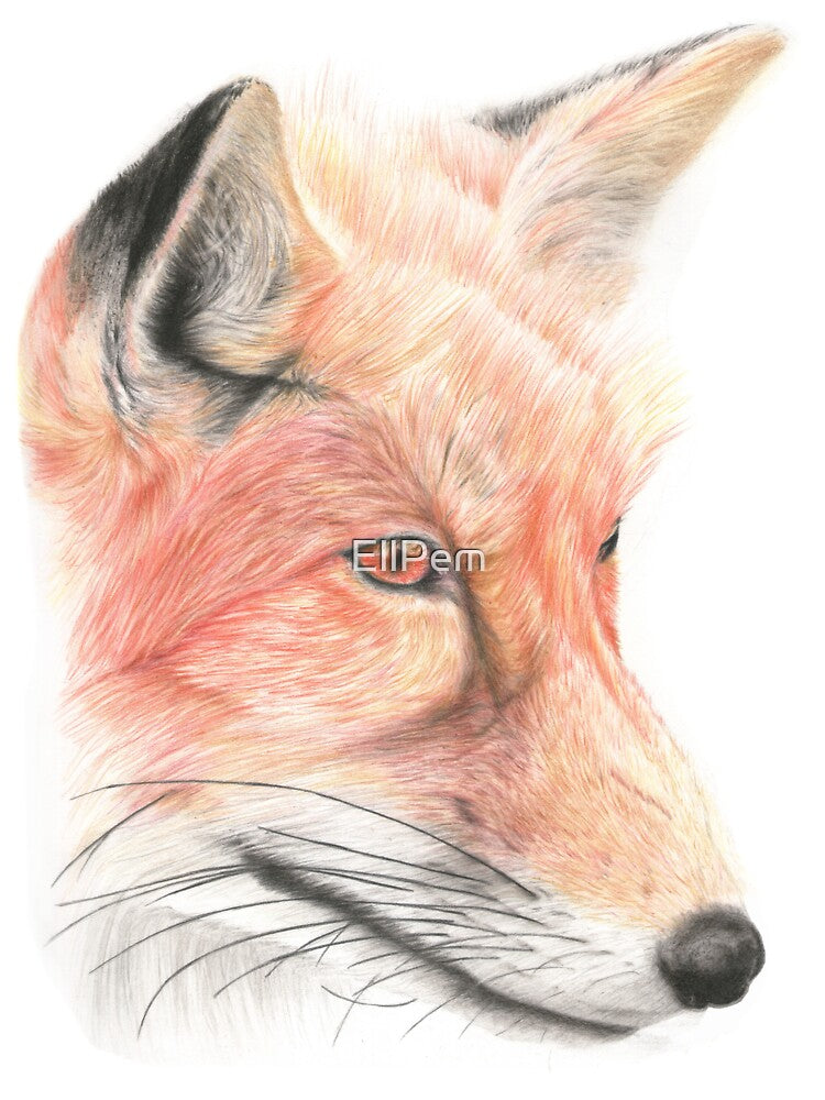 Fox Pencil Art by EllPem