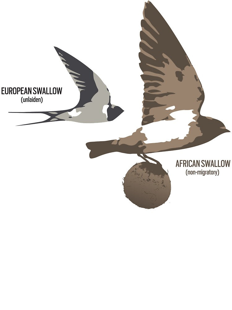 European and African Swallow by Expressman