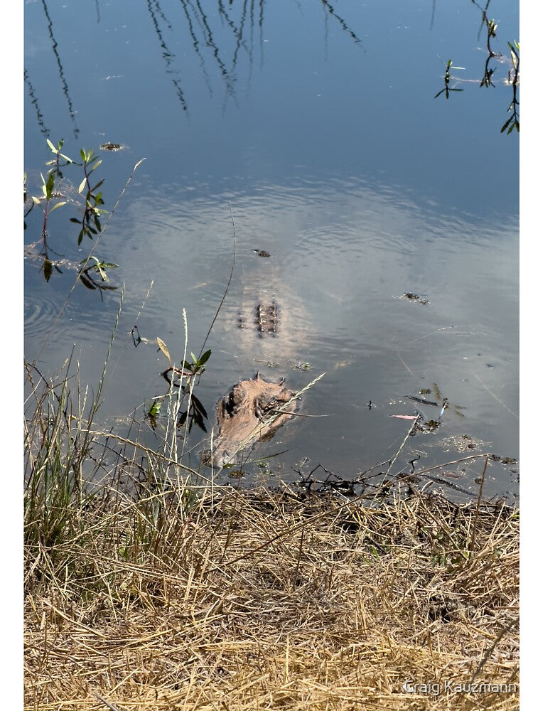 Alligator by Craig Kauzmann