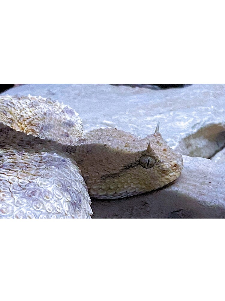 SIDEWINDER 3 by BOLLA67