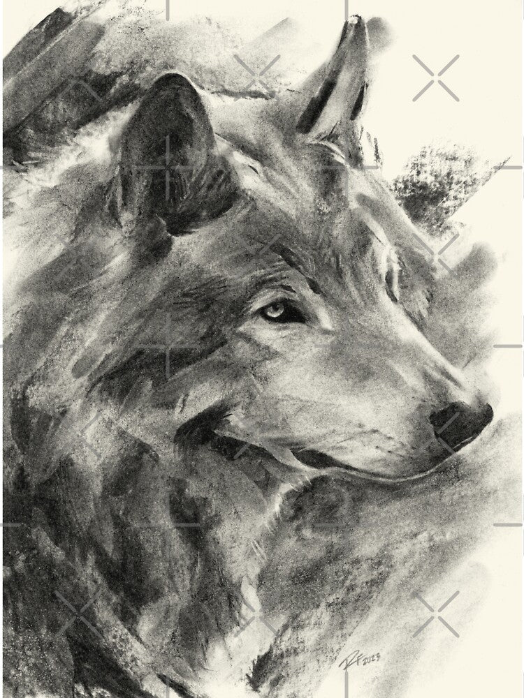 Wolf Art, Wolf Portrait Drawing, Animal Gift, Wolf Gifts by Rachel Felicity  Art