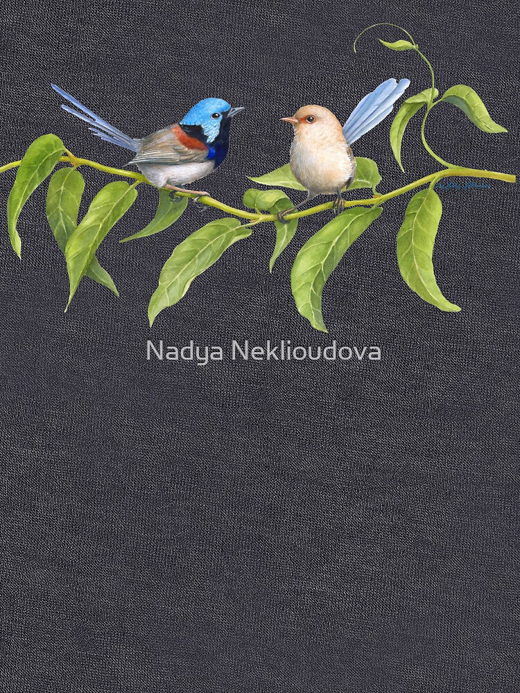 Variegated Fairy-Wrens - by Nadya Neklioudova by Nadya Neklioudova