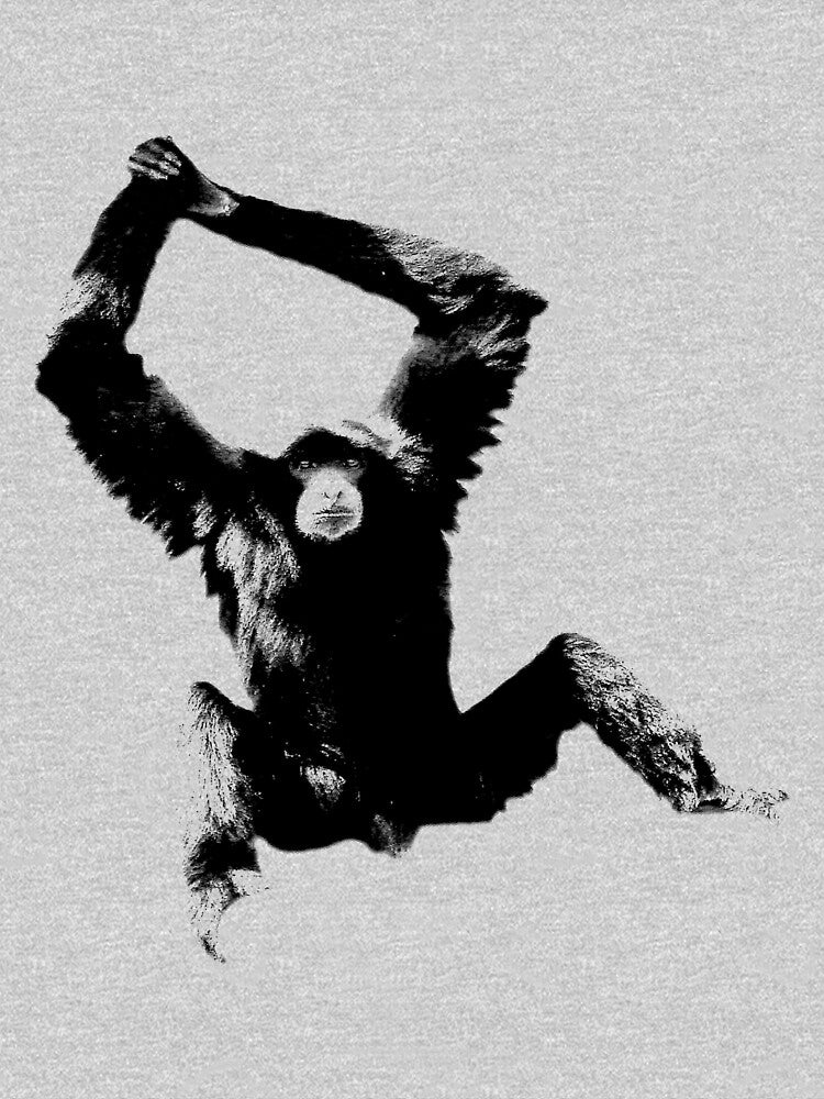 Siamang Gibbon. Wildlife Digital Engraving Image by Digital Eclectica