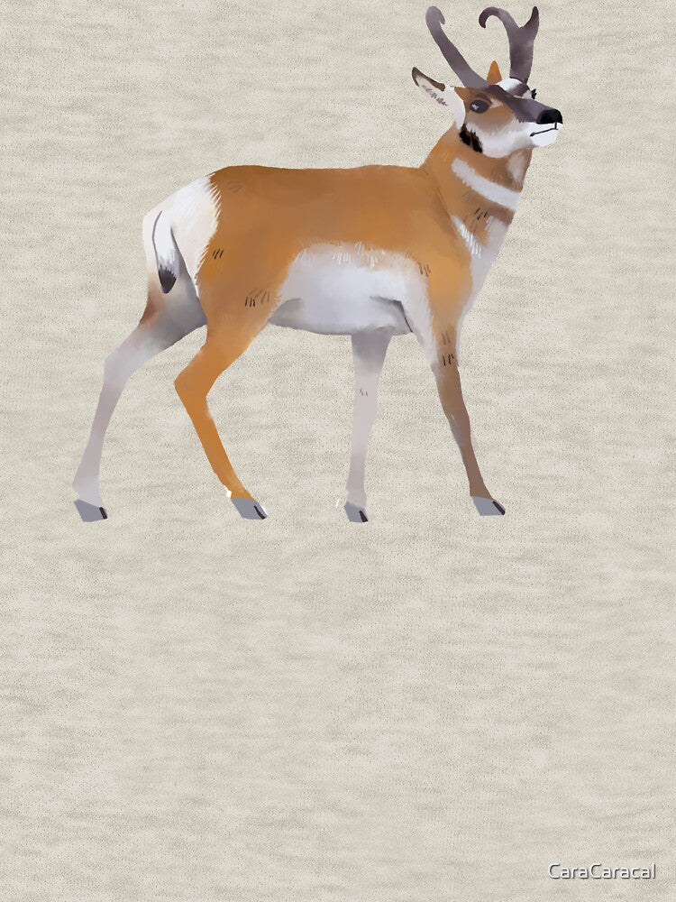 Pronghorn by CaraCaracal