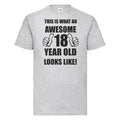 18th 18 Years Old Eighteenth Birthday Gift Presents Mens Funny Awesome T-Shirt