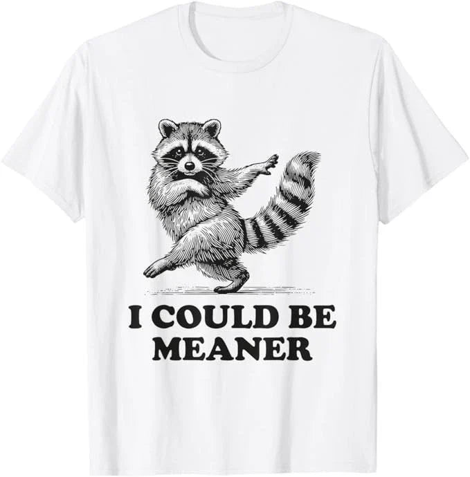 I Could Be Meaner Vintage Sarcastic Humor Funny Raccoon T-Shirt