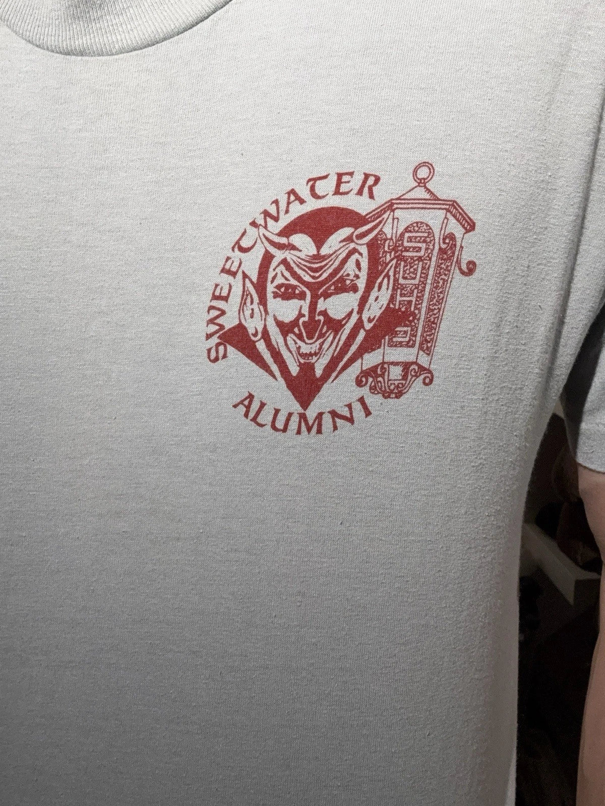 True Vintage Blue 80s Satanic Devil Sweetwater Alumni Simple Essential T Shirt L