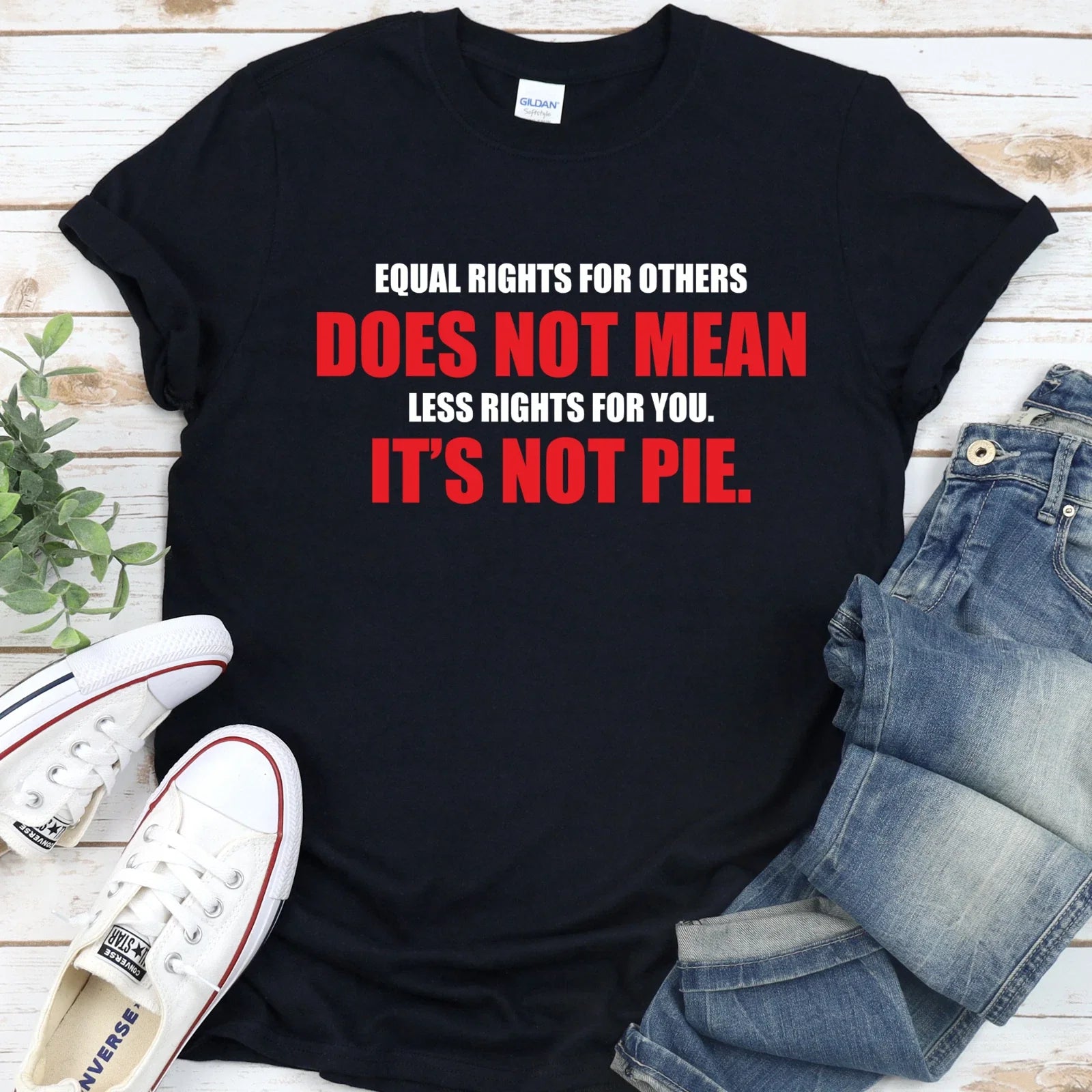 Equal Rights For Other Does Not Mean Less Rights For You It's Not Pie T-Shirt