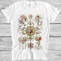 Trachomedusae Basimycete Ernst Haeckel Music Fashion Top Gift Tee T Shirt M948