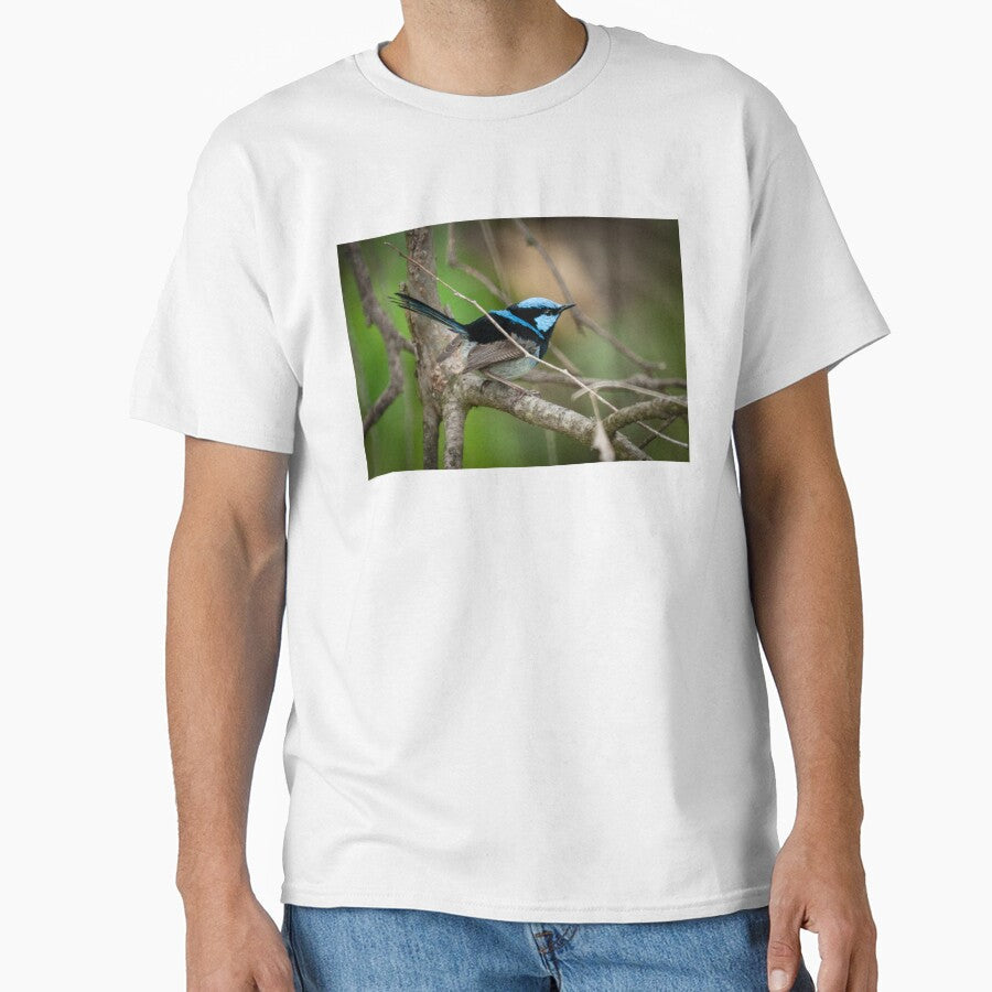 Superb Fairy Wren III by D-GaP