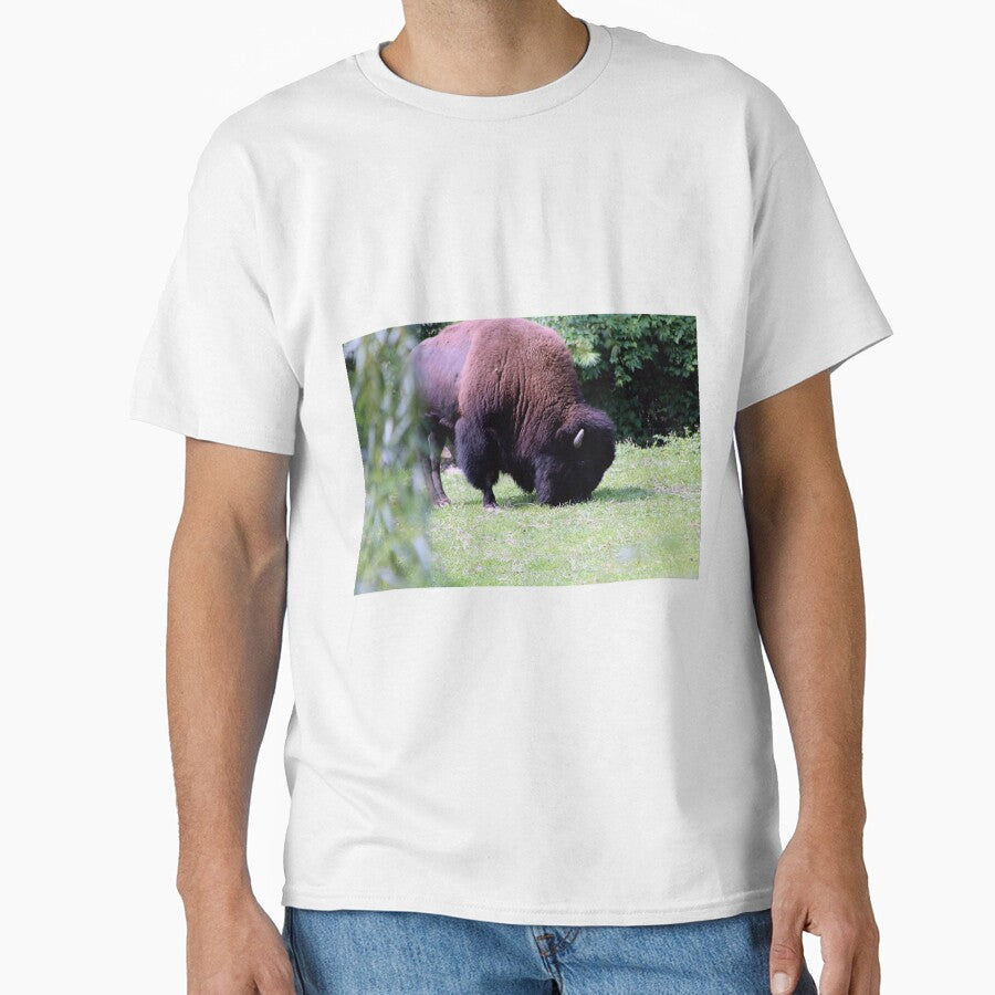 GRAZING BISON by BOLLA67