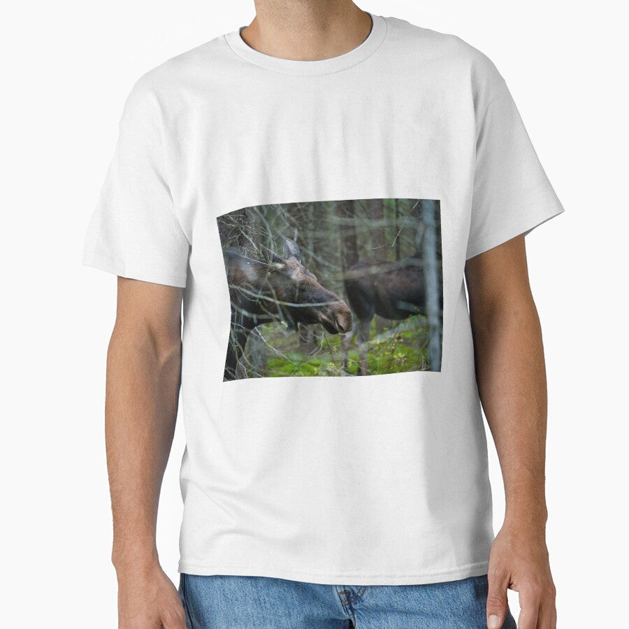 Moose In Woods by Michael Cummings