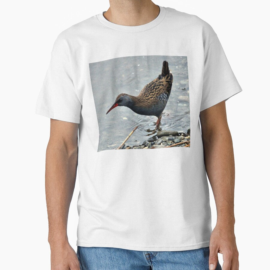waterrail by KathleenDawson