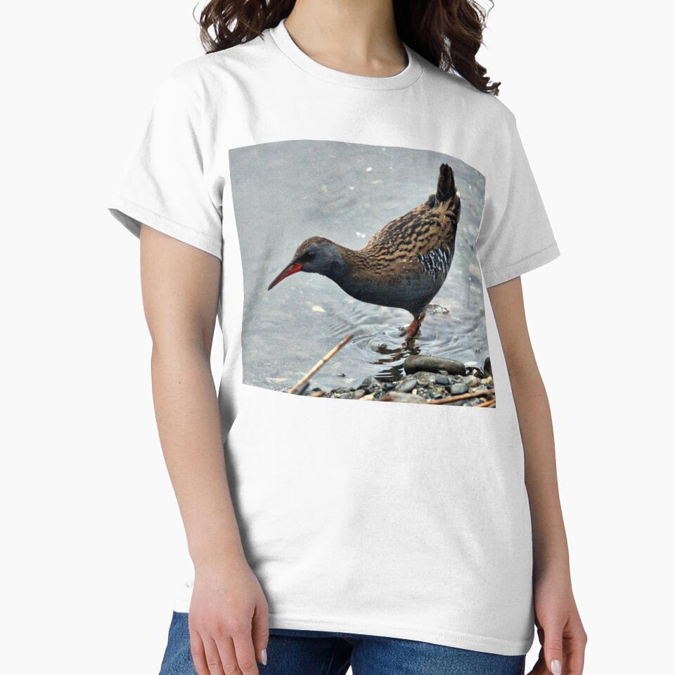 waterrail by KathleenDawson