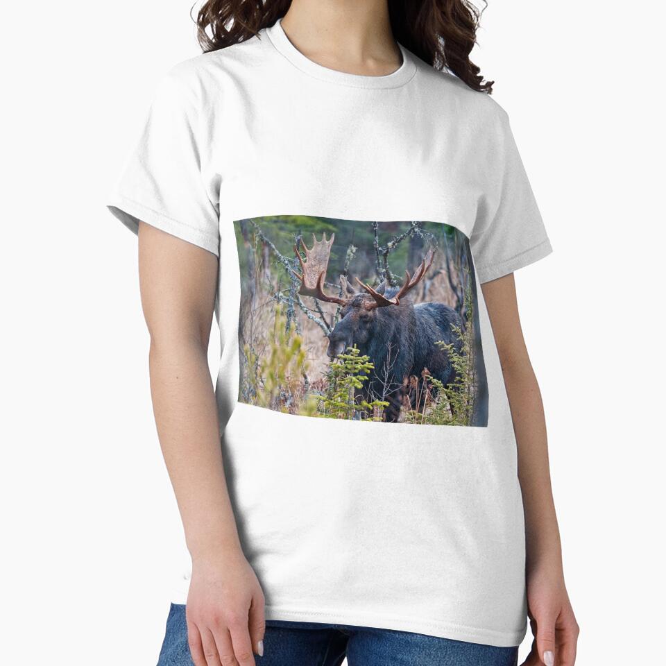 Bull Moose by Michael Cummings