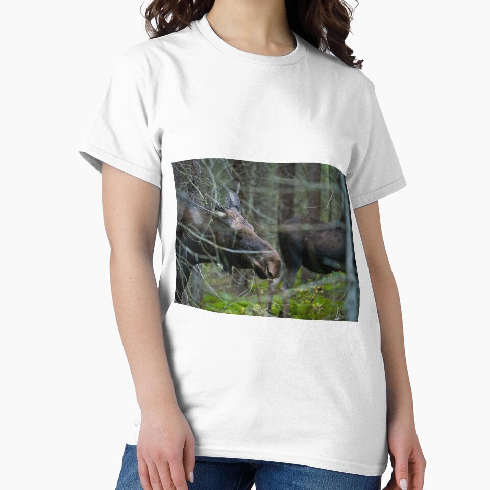 Moose In Woods by Michael Cummings