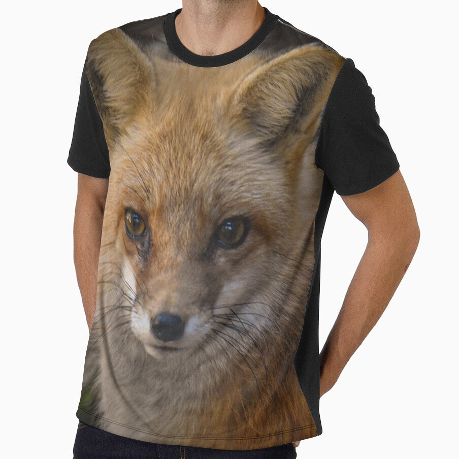 sly red fox stare down by aim4adventure