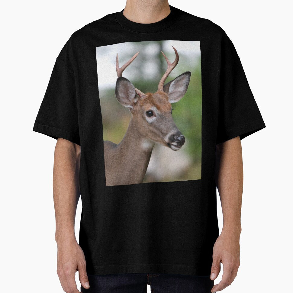 Maine Buck by Enola Gay Wagner
