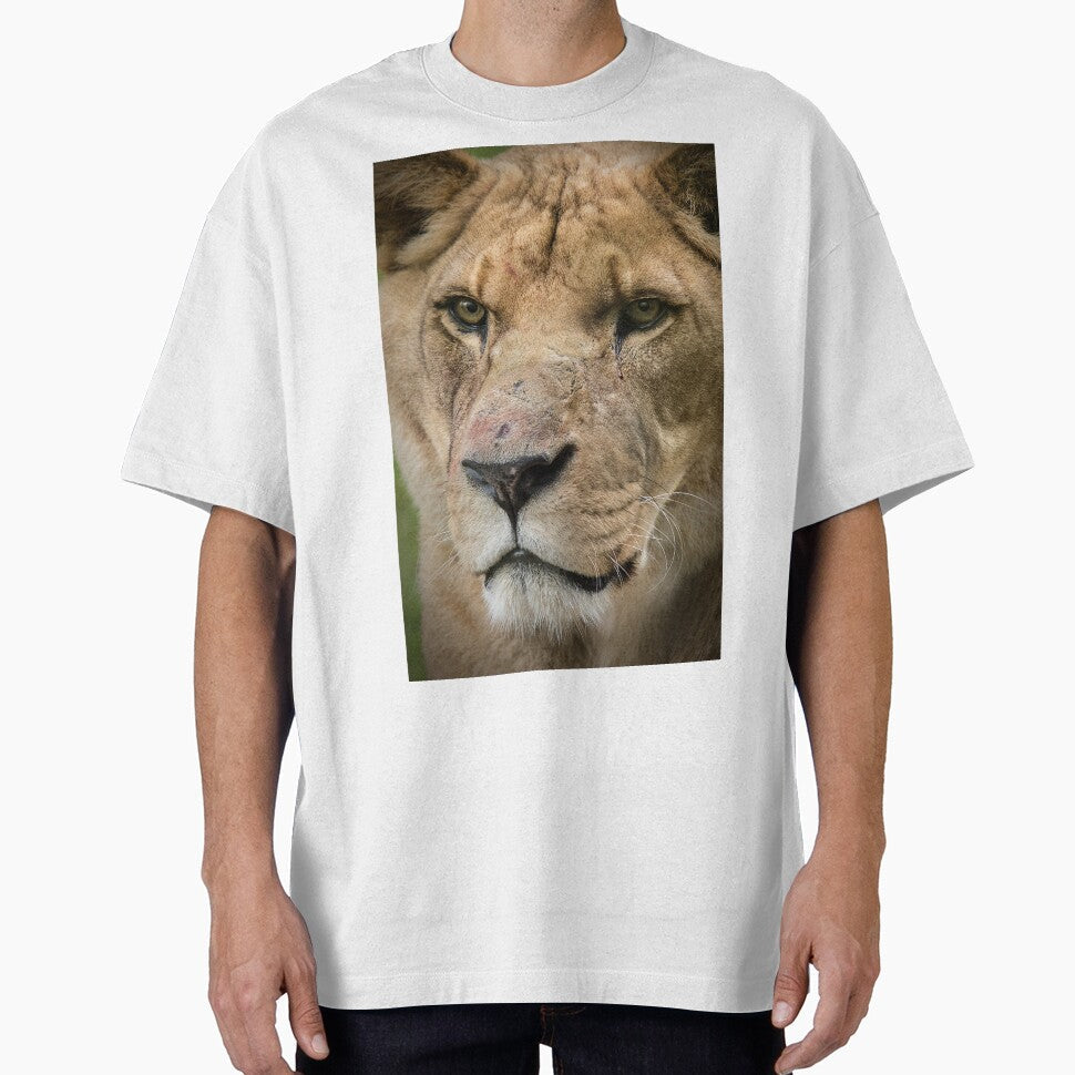 Lion by Conservation Art Emporium