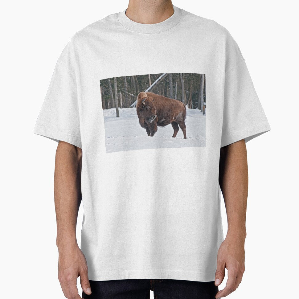 Bison In Snow by Michael Cummings