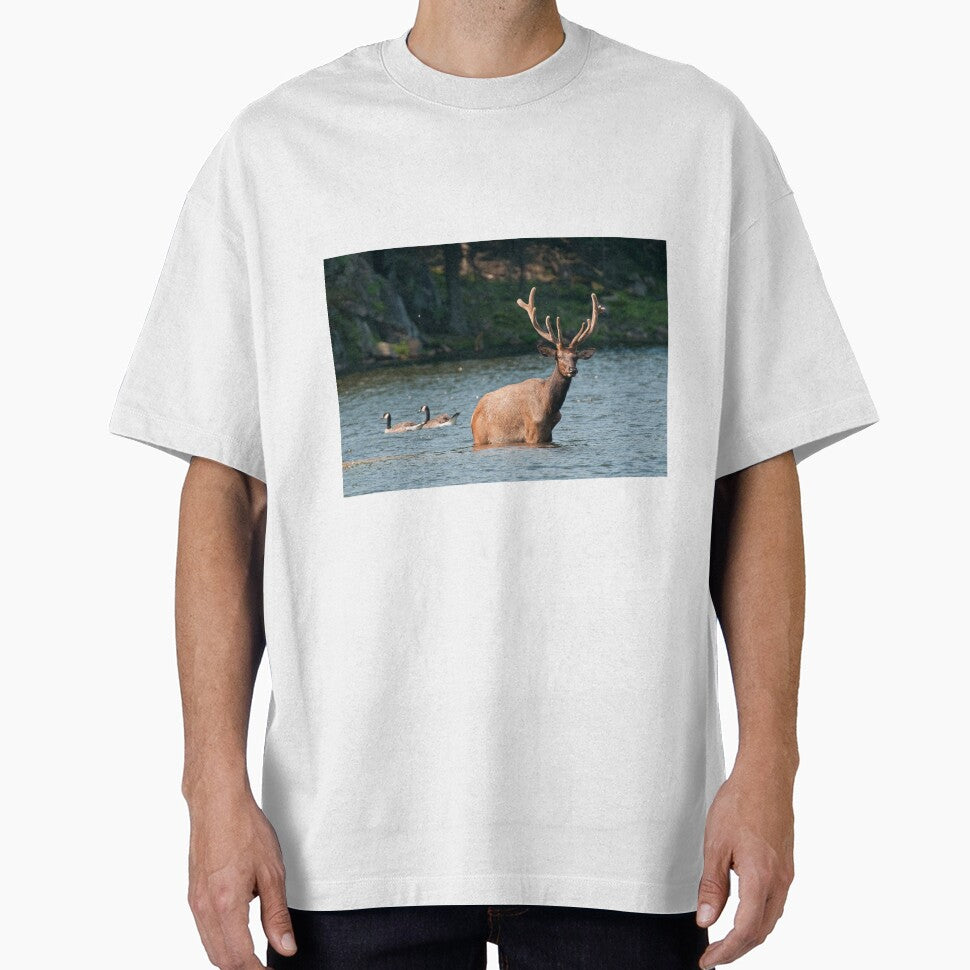 Elk In Pond by Michael Cummings