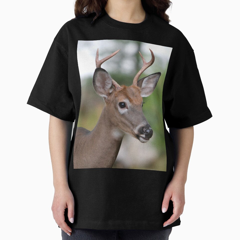 Maine Buck by Enola Gay Wagner
