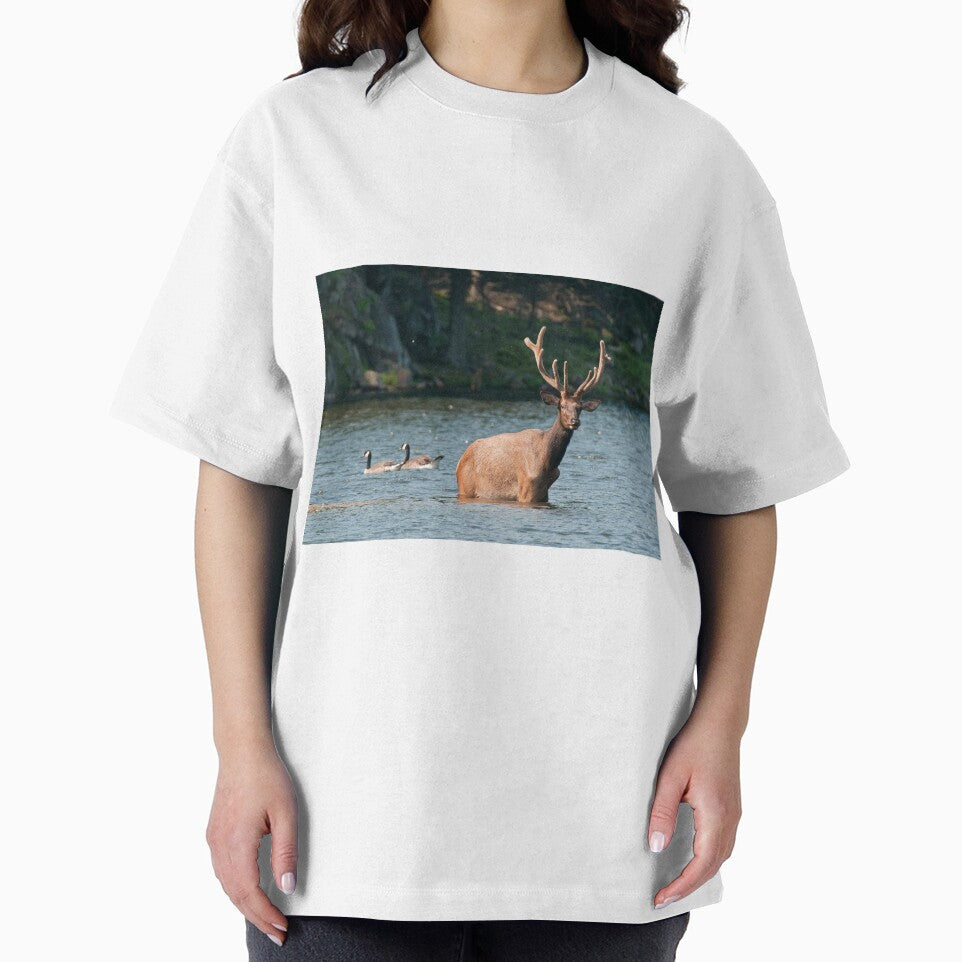 Elk In Pond by Michael Cummings
